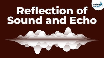 Reflection of Sound and Echo | Don