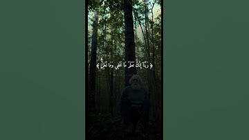 سورة ابراهيم | القارئ فارس عباد