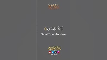 تلاوة مؤثرة لسورة التكاثر || عبد الشكور الهلال