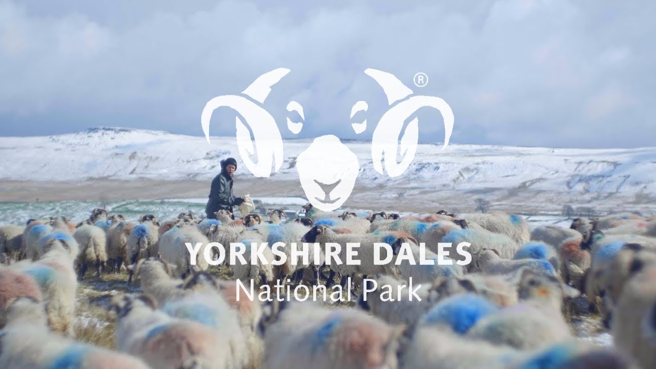 Farming Through the Seasons - Winter