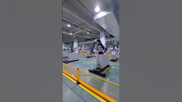 Collaborative palletizing robot #palletizingrobot #robot #foodfactorymachine  #video #shorts