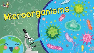 Microorganisms  What are Microorganisms? (Learning Videos For Kids)