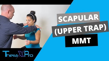 Manual Muscle Test | Scapular Elevation (Upper Trapezius Strength)