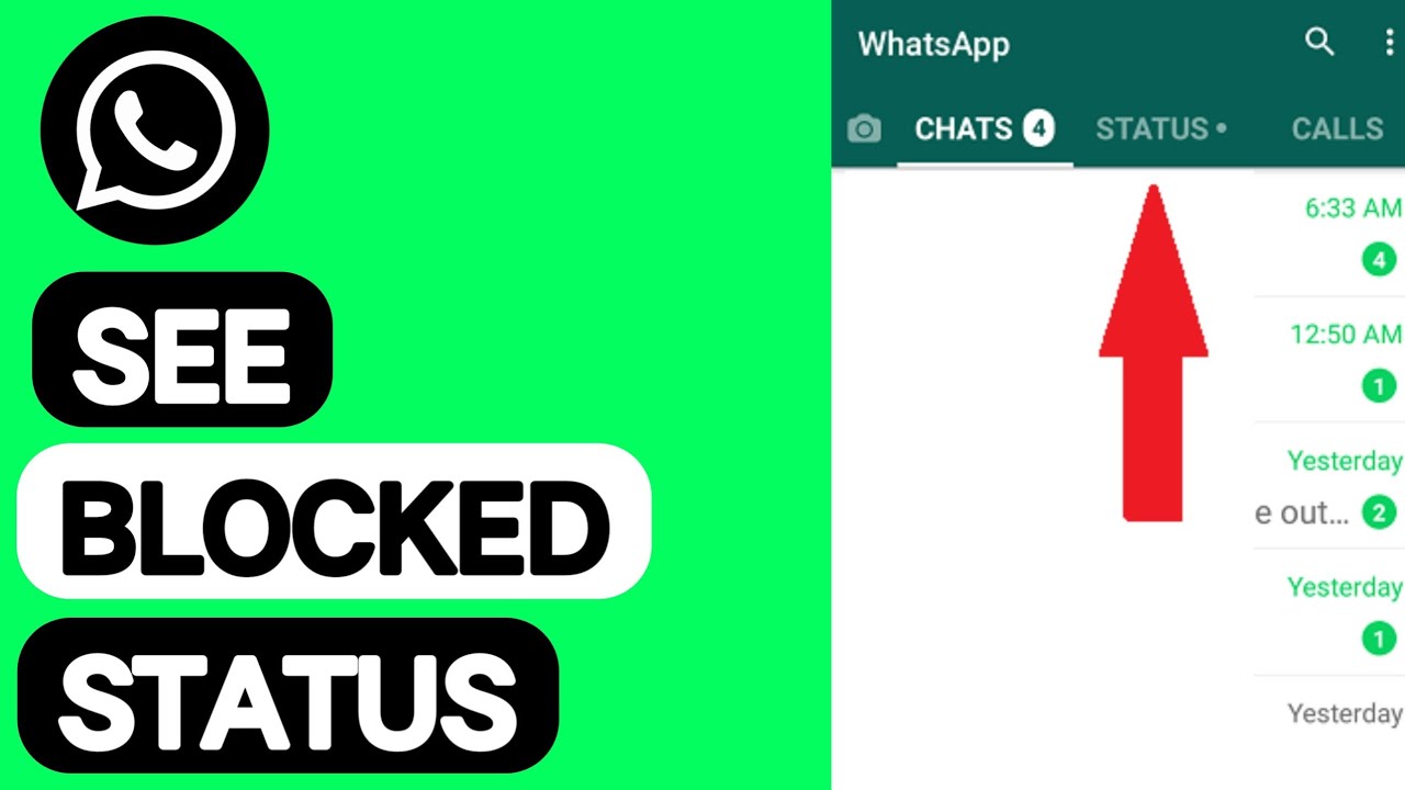 How To See BLOCKED Whatsapp Status YouTube how-to-see-blocked-whatsapp-status-youtube