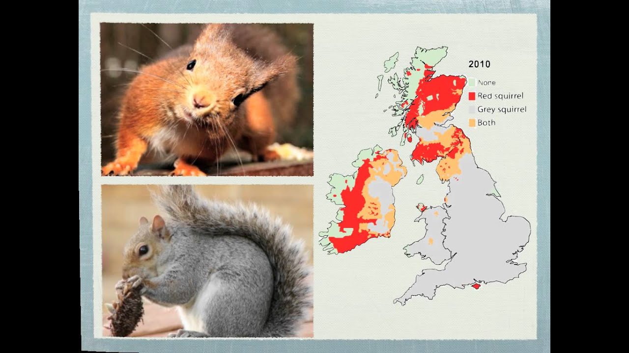 Hunting and conservation movie - YouTube