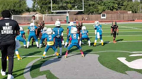 WFJ  v Pearland Canes - 6U