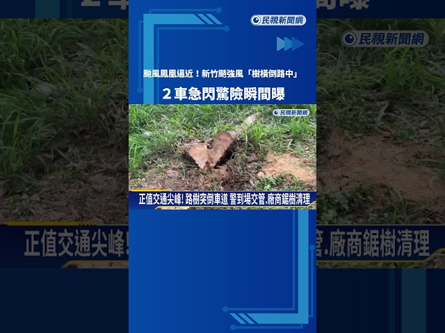 颱風來勢洶洶! 新竹颳強風"路樹躺車道" 幸無人傷亡－民視新聞