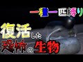 【ゆっくり実況】昔のトラウマ生物が蘇ってきた！？【ピクミン4】【一種一匹縛り】#12