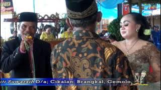 TARDI LARAS !! PALUPI