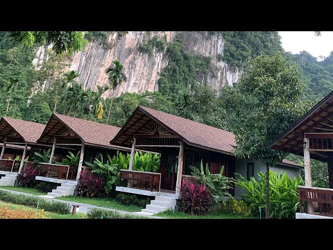 Место для релакса, звуки природы и пение птиц.A place to relax to the sounds of nature and birdsong.