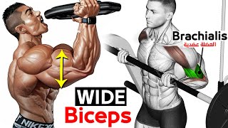12 BEST Exercises for WIDER BICEPS