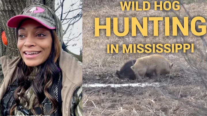 Mississippi Wild Hog Hunting