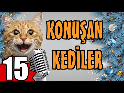 Konuşan Kediler 15 - En Komik Kedi Videoları