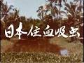 日本住血吸虫