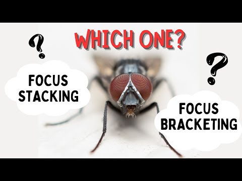 Video: Wat is de beste focusstacking-software?