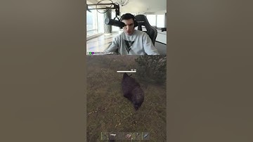 Bro got the wrong animal 💀 #trainwreckstv #rust #rustgame #rustclips #streamer #shorts