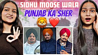 Punjab Ka Sher - SIDHU MOOSE WALA | Reactions Hut |