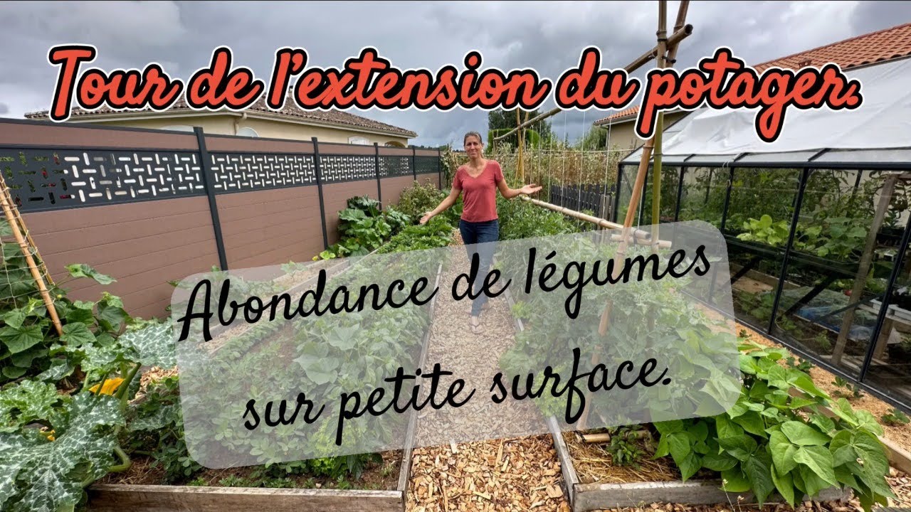 Tour de l’extension du potager, une abondance de légumes sur petite surface.