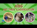 Understanding Jobs and Their Sectors