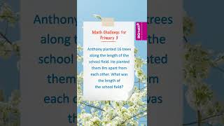 Grade 3 Math Quiz 11: Solve the Primary 3 Word Problem