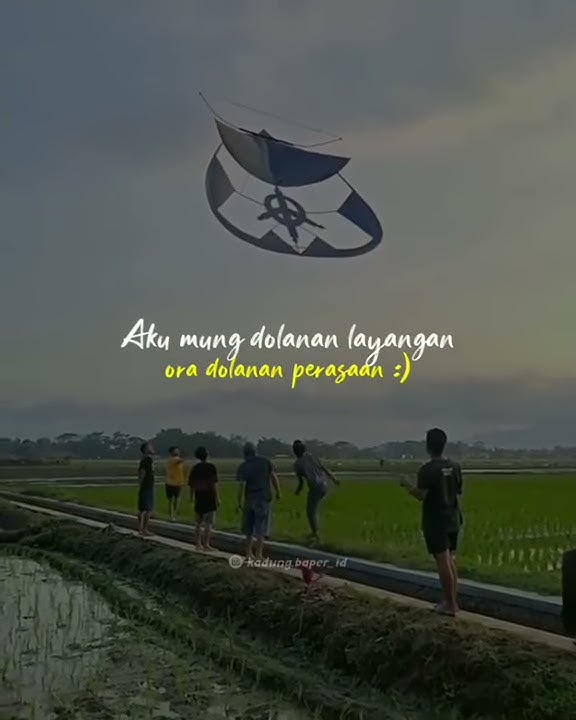 Story wa layangan gapangan