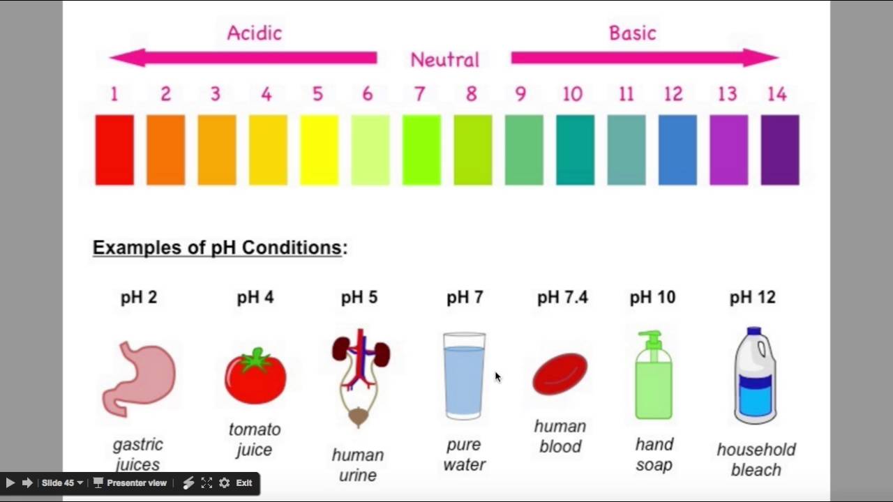 Водородный показатель ph растворов. Шкала кислотности PH. Кислотность PH 5.5. PH 2.5 кислотность. Шкала кислотности-щелочности (PH)..
