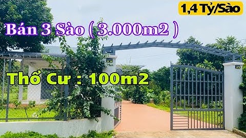 ☘️ Bán 3 Sào Đất Nhà Vườn Có Thổ Cư || Giá Chỉ 1,4 Tỷ/ Sào Tại Ấp 12, Xã Xuân Tây, Huyện Cẩm Mỹ - ĐN