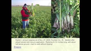 Selecting Cover Crops  Eileen Kladivko