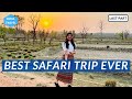 Last Day Can't Get Any Better | Our India Safari Trip Ends Here | Desi Couple On The Go