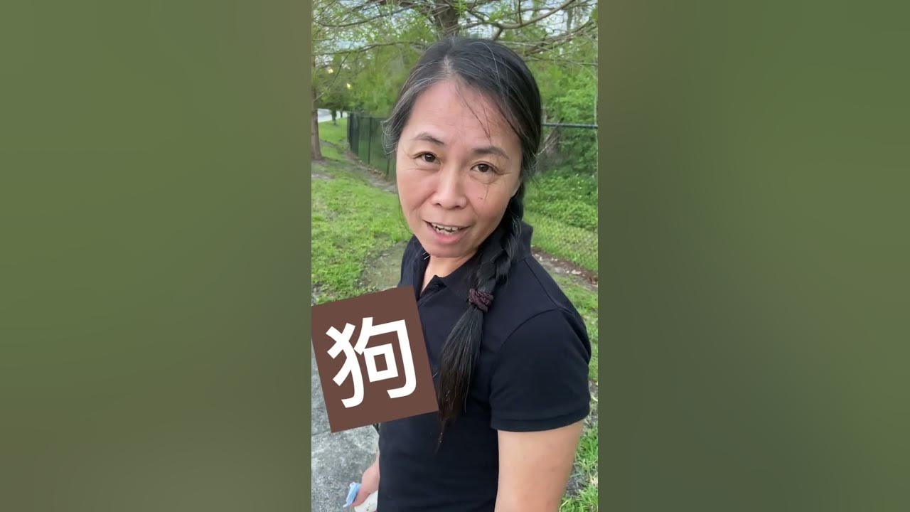 How To Say DOG In Chinese And Taiwanese animal chineselanguage how-to-say-dog-in-chinese-and-taiwanese-animal-chineselanguage