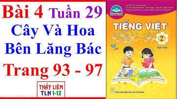 Tiếng Việt Lớp 2 Bài 4 Tuần 29 | Cây Và Hoa Bên Lăng Bác | Trang 93 - 97 | Chân Trời Sáng Tạo