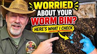 Worried About Your Worm Bin Here’s What I Check