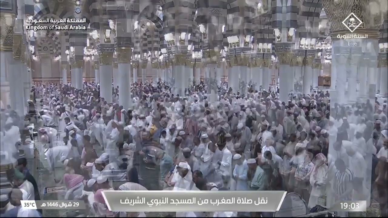 صلاة المغرب للشيخ محمد برهجي 29 شوال 1446هـ