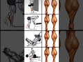 calves workout try please support💪#lego #trend #youtubeshorts #shorts #reels #sports #support #gym