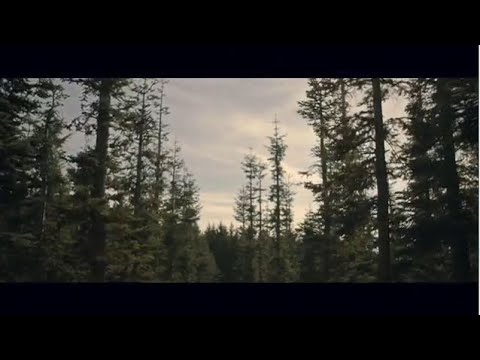 Relaxing Video | prvrln не с тобой 2