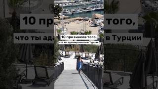 Если вы делаете ЭТО, значит, что адаптация в Турции прошла УСПЕШНО 🇹🇷👌🏻 #турция #shorts #алания