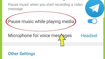 Telegram | Pause Music while playing media Setting ?