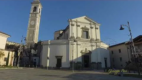 Che animale è il capriolo?