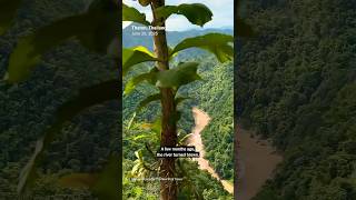 How This River in Thailand Was Poisoned