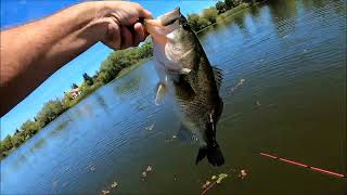 Urban Bass Slayers Spring fishing.