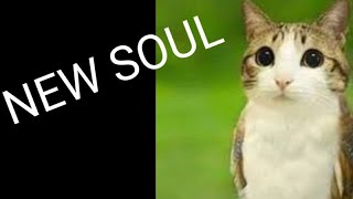 Download lagu New soul... [Meowl] (music) 