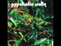 Psychotic waltz mosquitofull album