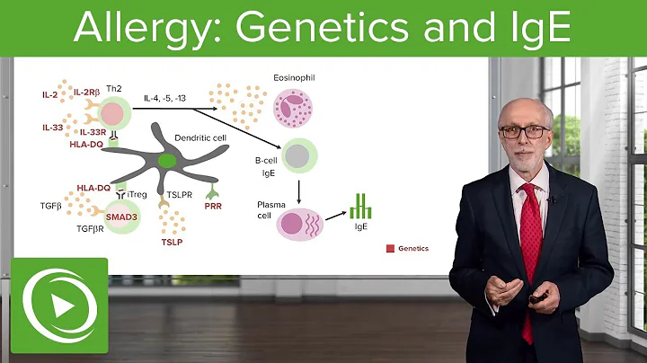 Allergy: Genetics and IgE  Immunology | Lecturio