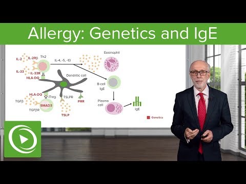 Allergy: Genetics and IgE – Immunology | Lecturio