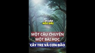 Cây tre trước bão #baihoccuocsong #trietlysong #kechuyen #podcast #loiphatday