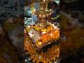 ಕಾರ್ತಿಕ ಮಾಸದ ದೀಪೋತ್ಸವ Deepajyothi Parabrahma Sarvasiddhi Vinayaka Temple Iyyannashetty layout