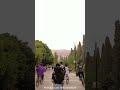 Iran street walking tour peoplewalkvisit iranvirtualtour shorts shiraz city