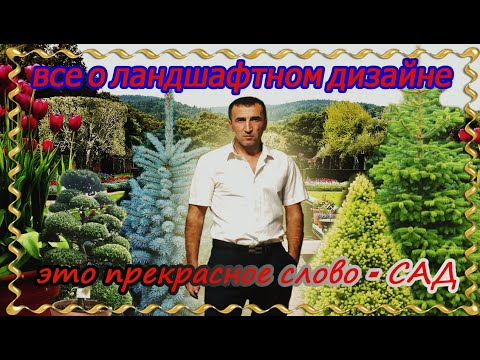 Все о сирени. Посадка, уход, размножение, болезни.