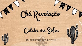 CHA REVELAÇÃO - CALEBE OU SOFIA ??