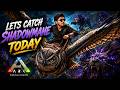 ARK Survival Evolved Aaj Shadowmane Pakde Kya DEVILRACE ARK Survival Evolved Aaj Shadowmane Pakde Kya DEVILRACE